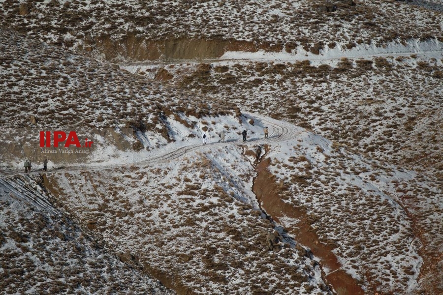   دومین روز جست و جوی هواپیمای مسافربری تهران - یاسوج