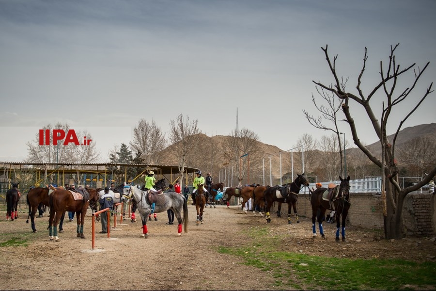   مسابقات چوگان بانوان