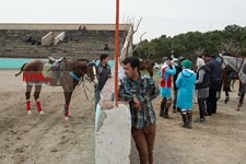  مسابقات چوگان بانوان
