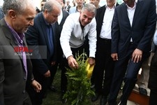   درختکاری پیشکسوتان ورزش و هنرمندان