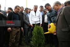   درختکاری پیشکسوتان ورزش و هنرمندان
