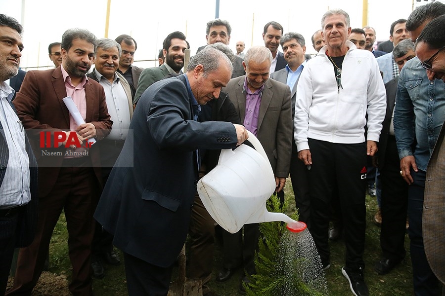   درختکاری پیشکسوتان ورزش و هنرمندان