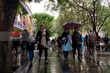   روز بارانی پایتخت 