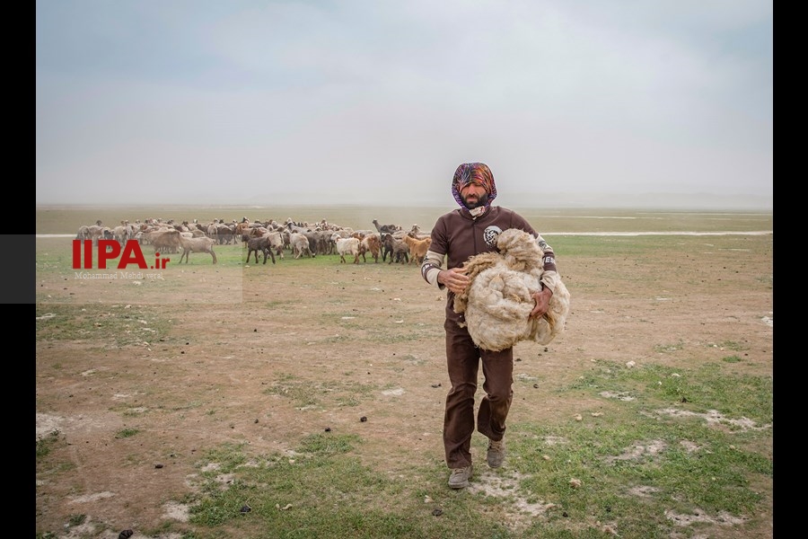   زندگی عشایر یکجانشین استان گلستان 