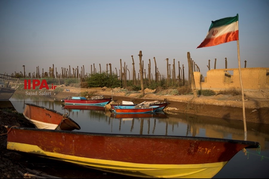   خشک شدن نخلستان های خوزستان