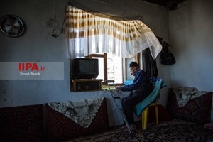 مو سپیدان تنها