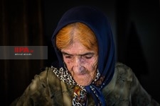   مو سپیدان تنها