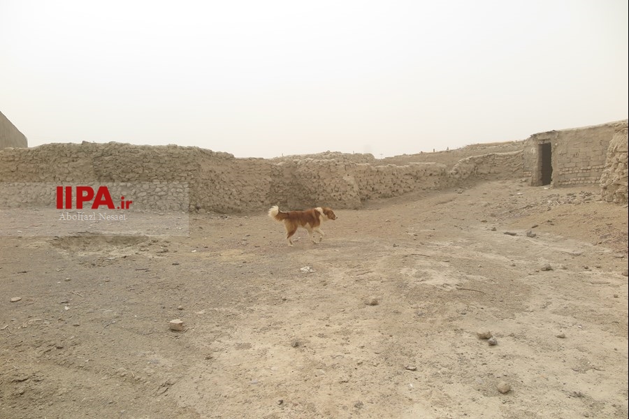   یک روز از 120روز طوفان سیستان