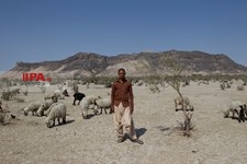   چادر نشینان  بستر دریاچه خشک شده هامون