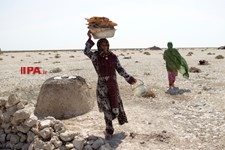   چادر نشینان  بستر دریاچه خشک شده هامون