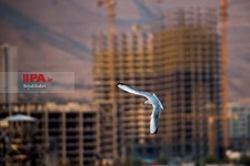   مهمانان سرزمین های شمالی درپایتخت