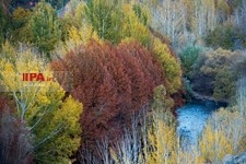   طبیعت پاییزی استان چهارمحال و بختیاری