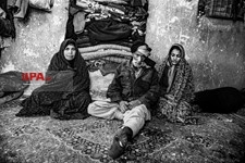   مردینه 