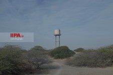  دلالت رنگ ها