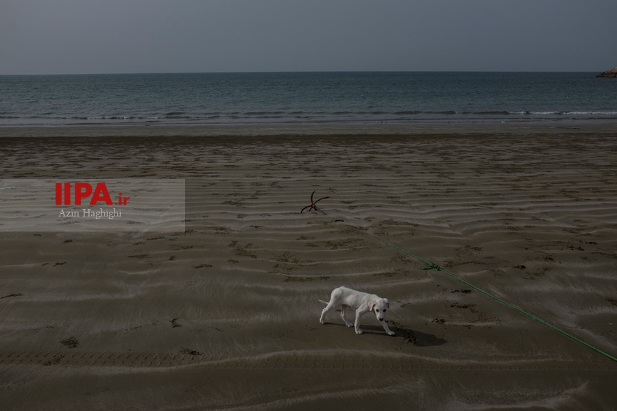   دلالت رنگ ها