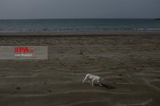   دلالت رنگ ها