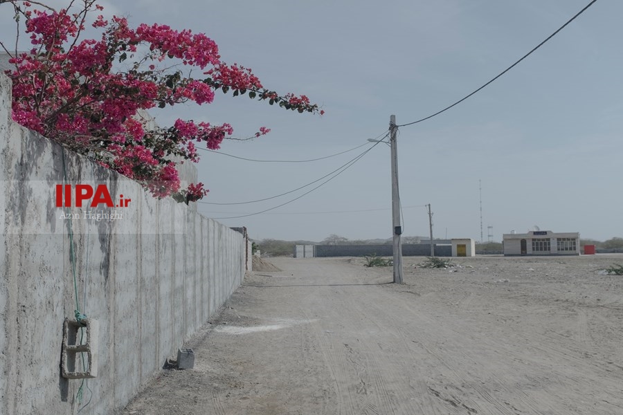   دلالت رنگ ها