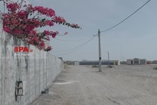   دلالت رنگ ها