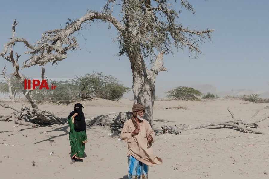   دلالت رنگ ها