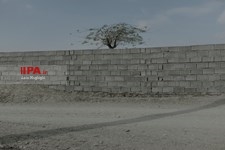   دلالت رنگ ها