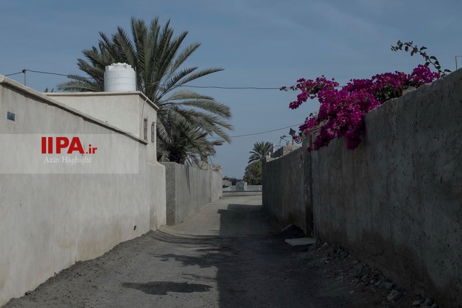   دلالت رنگ ها