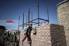   زندگی کریستالی‎