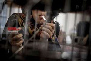 زندگی کریستالی‎