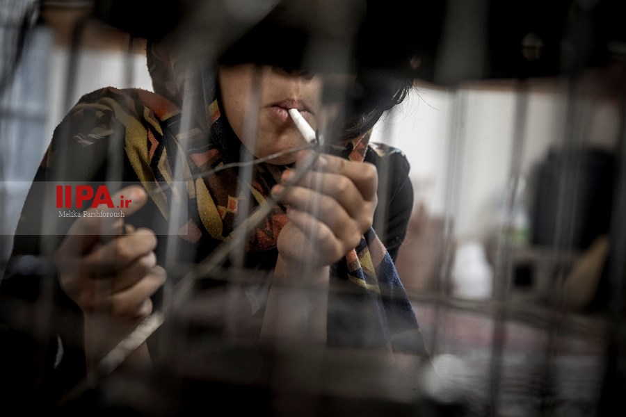   زندگی کریستالی‎
