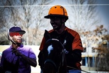   مسابقات چوگان قهرمانی کشور