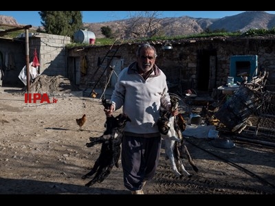 گسترش دامداری ها در خوزستان