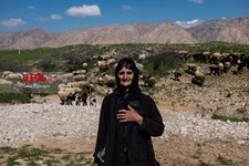   گسترش دامداری ها در خوزستان