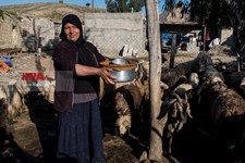   گسترش دامداری ها در خوزستان
