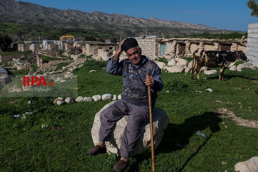   گسترش دامداری ها در خوزستان