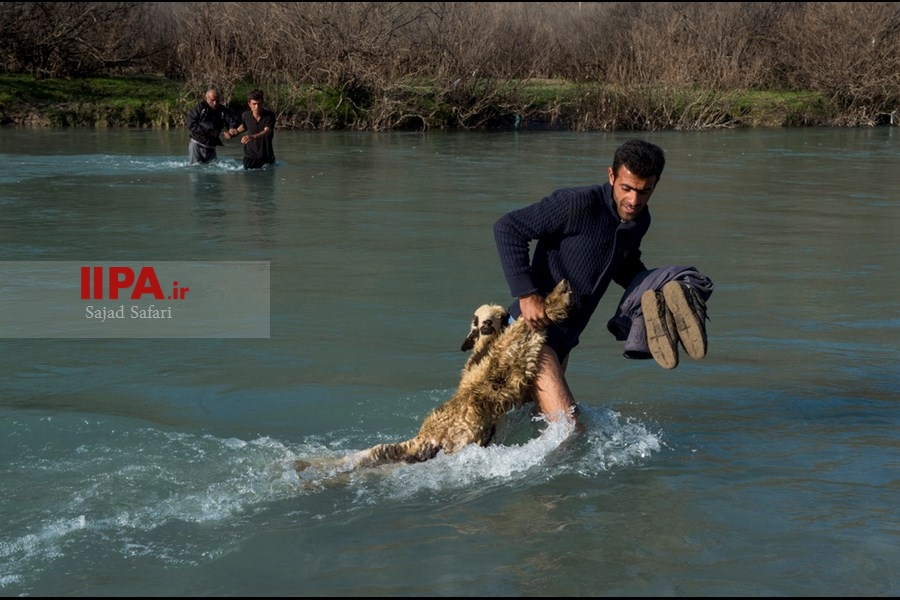   خدمت رسانی به عشایر روستای ده دیک شهرتان اندیکا