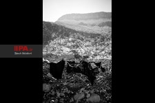 زنان روستا عزادارند. آنها برای ادای احترام به بازماندگان متوفی تا مدتها لباس سیاه بر تن می کنند. اگر متوفی جوان یا ناکام باشد اهالی پرچم سیاهی در بام خانه برافراشته می کنند