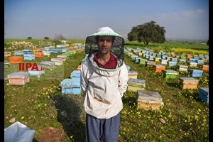 طرح خودکفایی