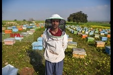   طرح خودکفایی 