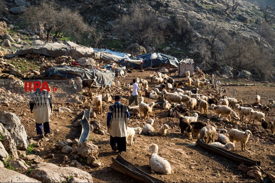   روستای تنگ سنان
