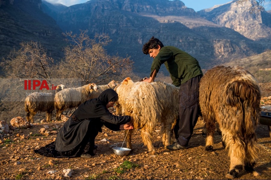   روستای تنگ سنان