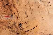   غریبه ها