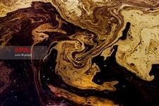   غریبه ها