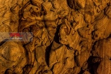   غریبه ها