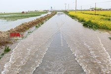   چهارمین روز سیل در گلستان