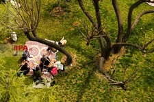   روز طبیعت در تهران