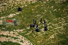   سیل در اطراف حمیدیه
