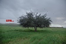   جا مانده یک زندگی