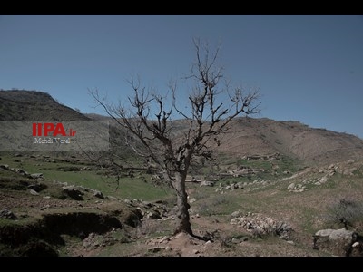 جا مانده یک زندگی