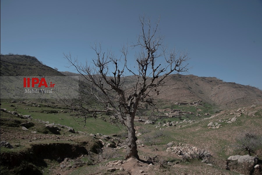   جا مانده یک زندگی