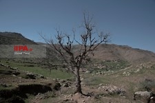   جا مانده یک زندگی