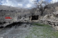   جا مانده یک زندگی